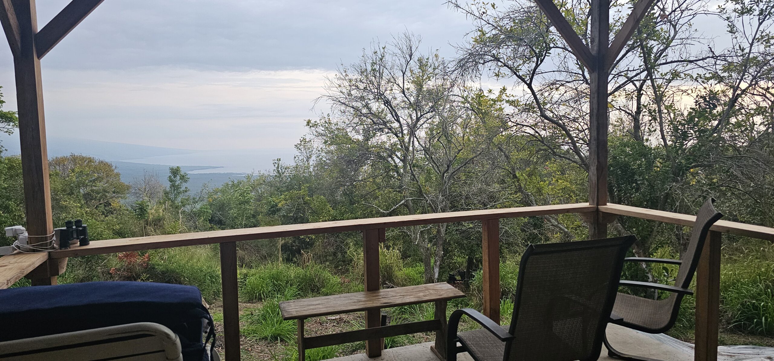 The View